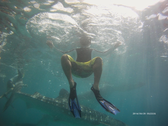 Bluewater Maribago, FCD, Cave Diving, Bluewater, Sumilon, Palawan, Cebu, Boracay, Beach, Maldives